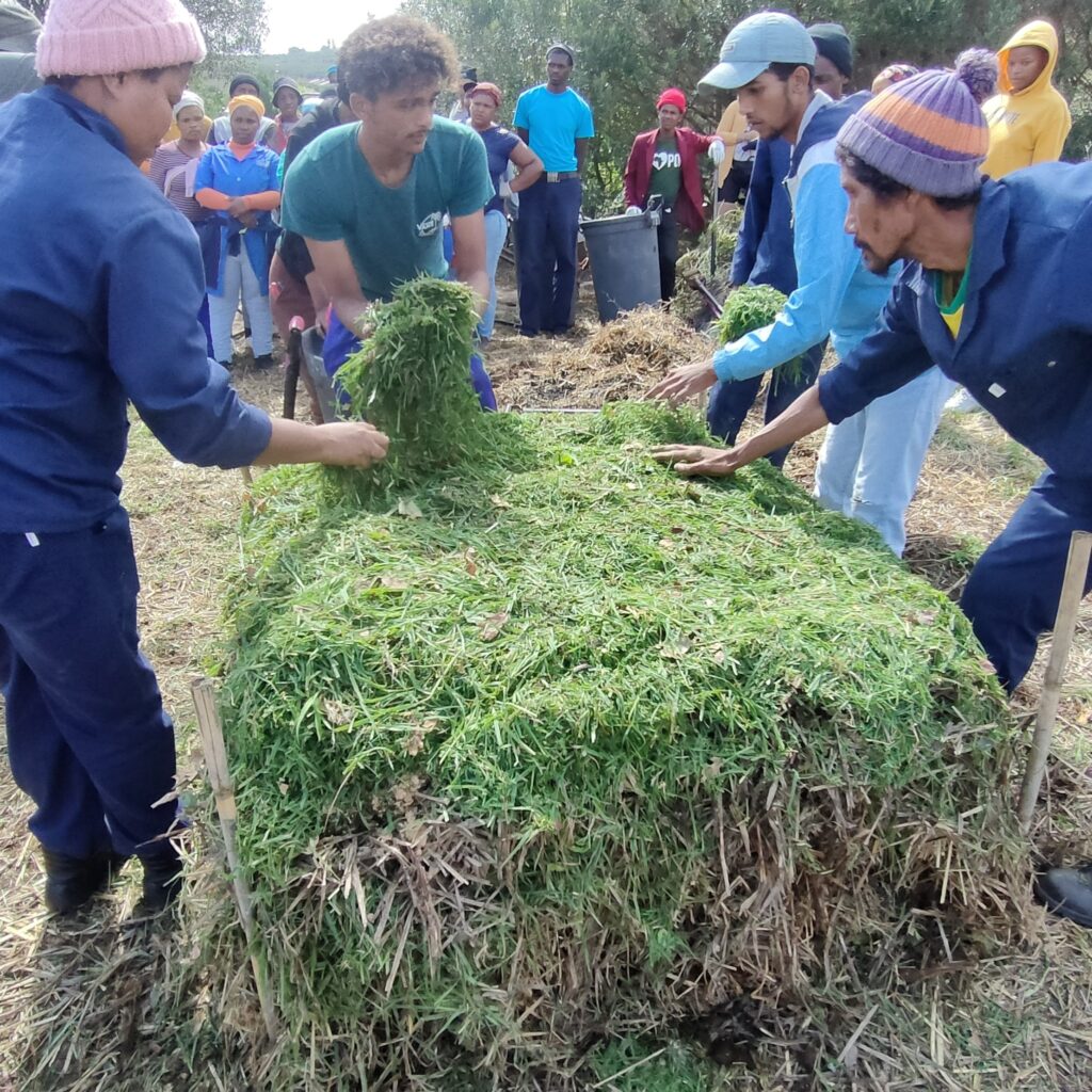 Biodiversity and soil preparation