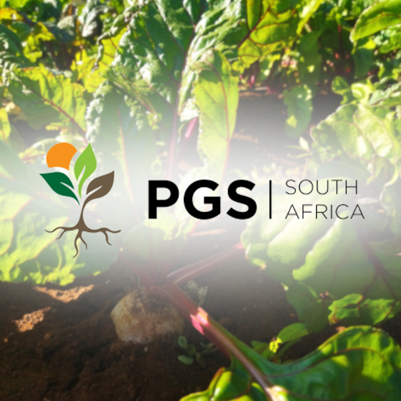 PGS SA Logo