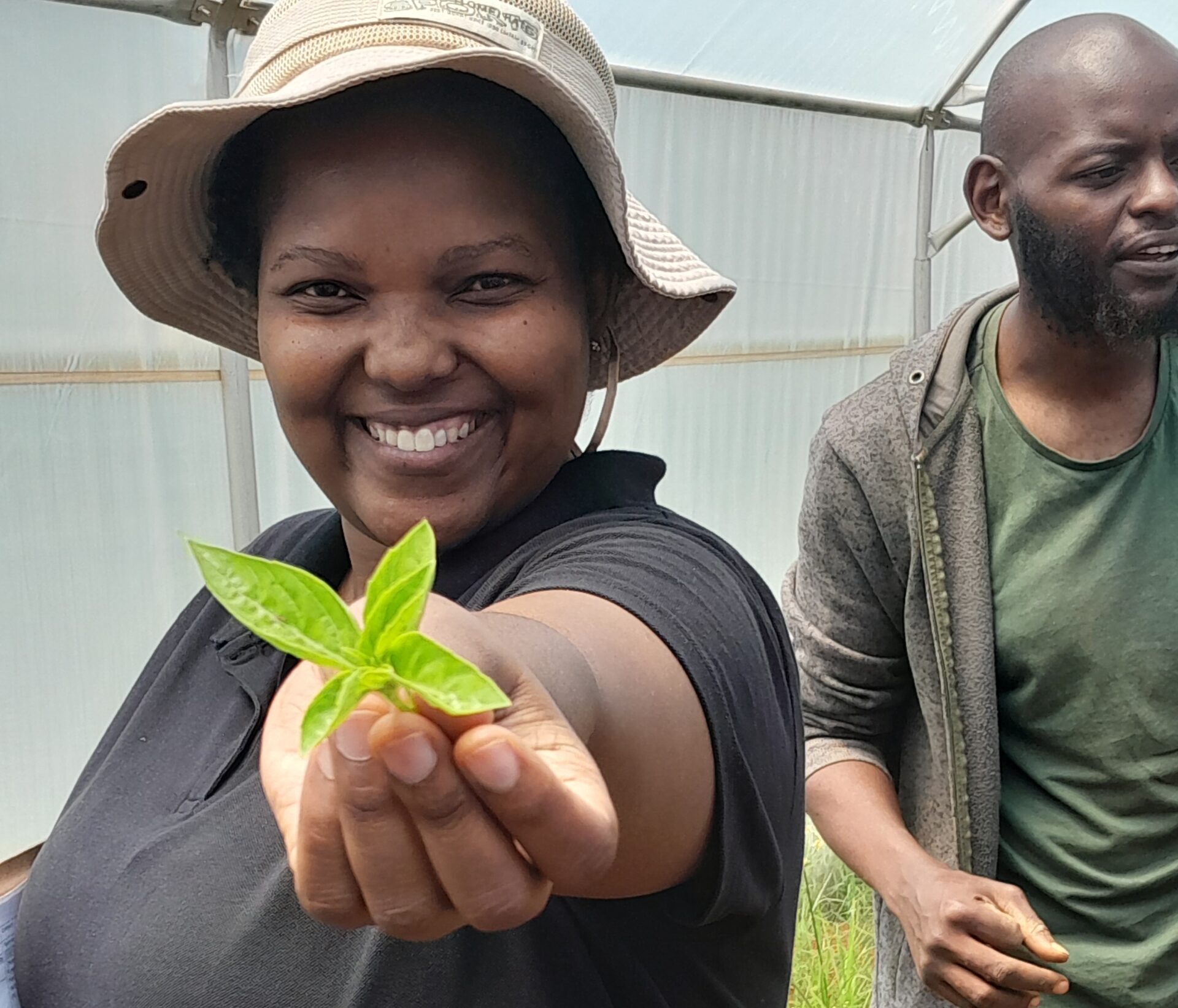 Woman farmer holding a freshly picked leaf