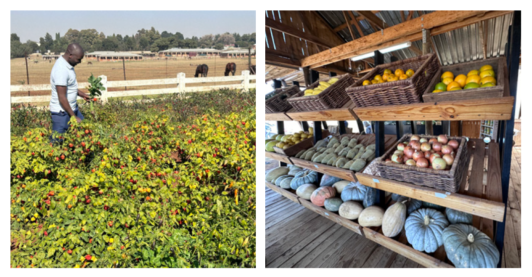 March – April 2025 newsletter