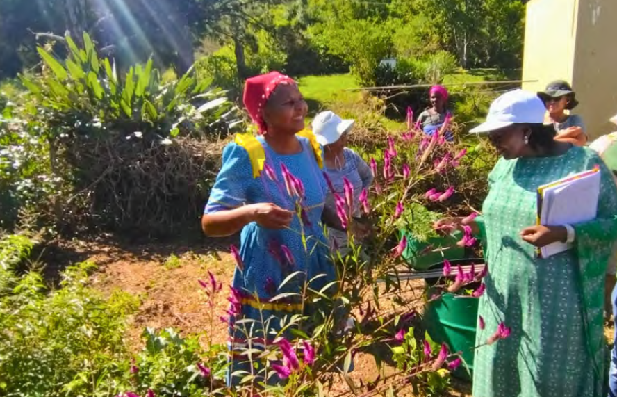 ISAN PGS Special Edition June 2025